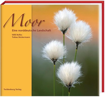 Moor, Tobias Böckermann - Gebonden - 9783939172451