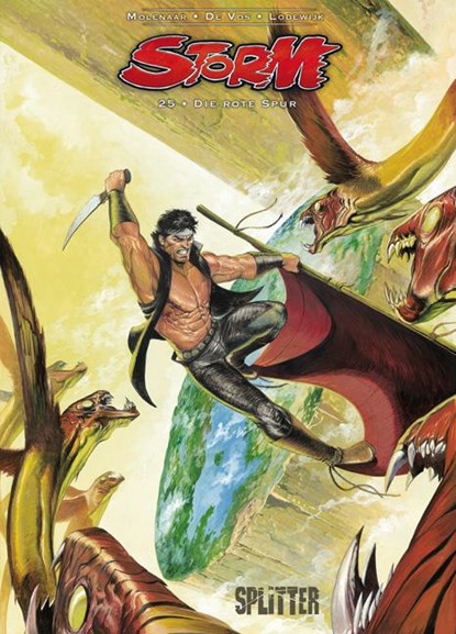 Storm 25. Die rote Spur, Martin Lodewijk ; Romano Molenaar ; Jorg De Vos - Gebonden - 9783940864772
