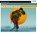 Der Sonne nach, Gabriele Clima - AVM - 9783941009660