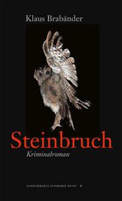 Steinbruch, Klaus Brabänder - Paperback - 9783941095298
