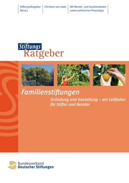 Familienstiftungen, Christian von Löwe - Ebook - 9783941368293