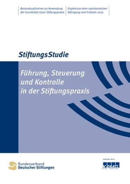 Führung, Steuerung und Kontrolle in der Stiftungspraxis, Hermann Falk ; Andreas Kramer ; Susanne Zeidler - Ebook - 9783941368460
