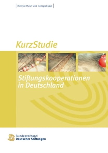 Stiftungskooperationen in Deutschland, Theresia Theurl ; Annegret Saxe - Ebook - 9783941368477