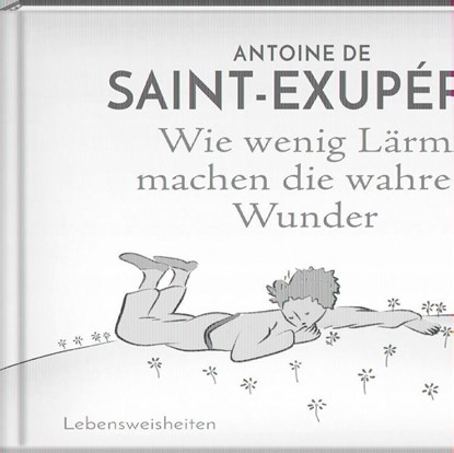 Wie wenig Lärm machen die wahren Wunder, Antoine de Saint-Exupéry - Gebonden - 9783941683990
