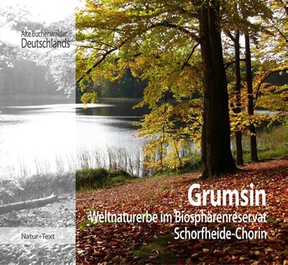 Grumsin, Beate Blahy ; Martin Flade - Gebonden - 9783942062206
