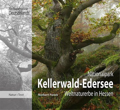 Nationalpark Kellerwald-Edersee, Norbert Panek - Gebonden - 9783942062305