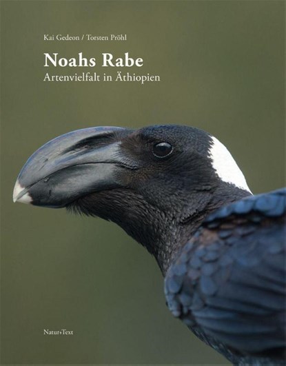 Noahs Rabe, Kai Gedeon - Gebonden - 9783942062558