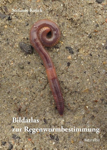 Bildatlas der Regenwurmbestimmung, Stefanie Krück - Gebonden - 9783942062671