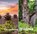 Perspektive Wildnis, Roland Lehmann - Gebonden - 9783942062732