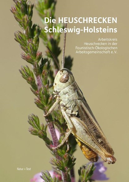 Die Heuschrecken Schleswig-Holsteins, Christian Winkler ; Björn Schulz ; Klaus Voß ; Arne Drews - Gebonden - 9783942062749