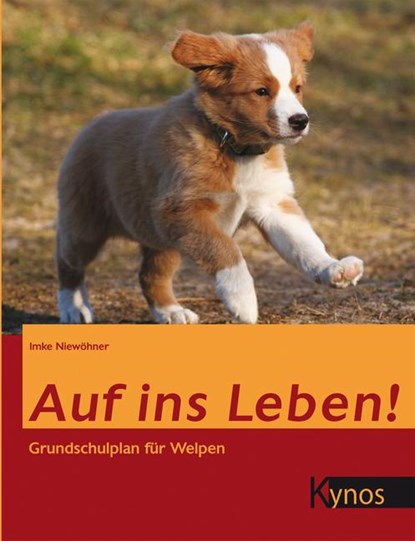 Auf ins Leben!, Imke Niewöhner - Gebonden - 9783942335621