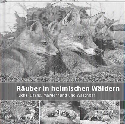 Räuber in heimischen Wäldern, Klaus Borrmann - Gebonden - 9783942477611
