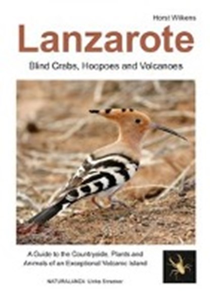 Lanzarote - cangrejos ciegos, abubillas y volcanes, WILKENS,  Horst - Paperback - 9783942999014