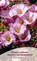Pflanzen entdecken, Ulrike Strecker ; Horst Wilkens - Paperback - 9783942999106
