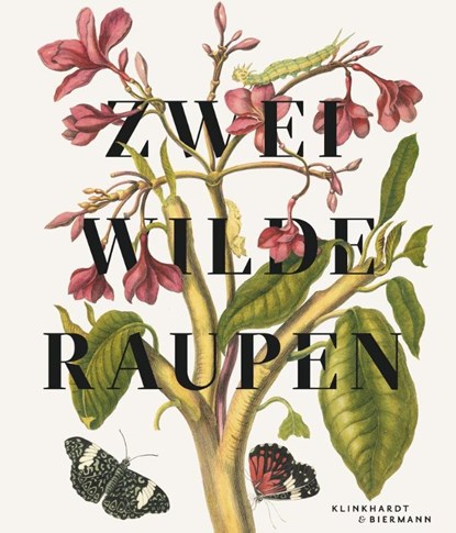 Zwei wilde Raupen, Vera Schroeder - Gebonden - 9783943616514