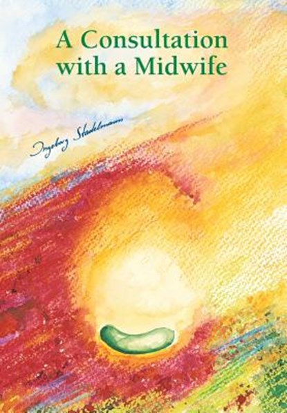 Stadelmann, I: Consultation with a Midwife, Ingeborg Stadelmann - Paperback - 9783943793000