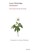 Anemonen, Gunter Wollschläger - Paperback - 9783943940909