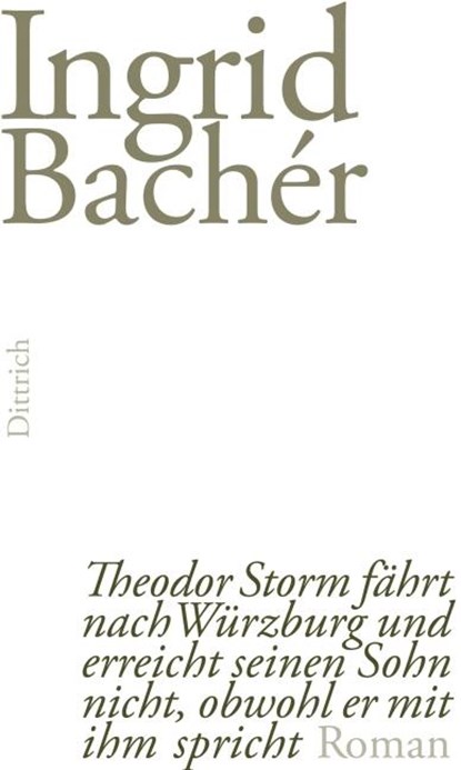 Theodor Storm fährt nach Würzburg und erreicht seinen Sohn nicht, obwohl er mit ihm spricht, Ingrid Bachér - Gebonden - 9783943941203