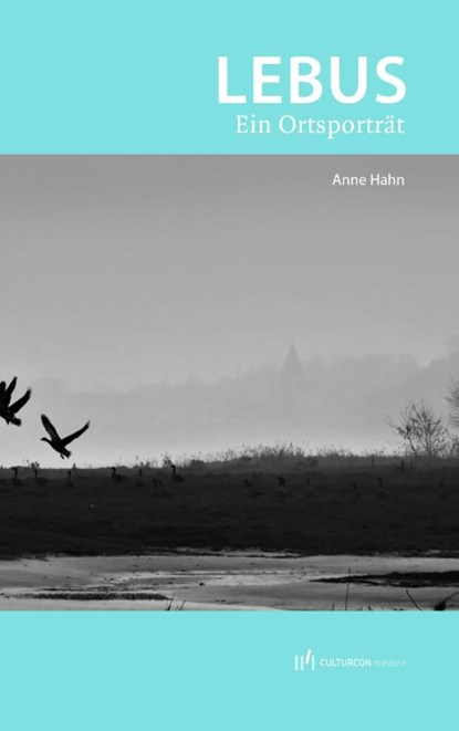 Lebus - Ein Ortsporträt, Anne Hahn - Paperback - 9783944068961