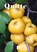 Quitte, Frank Löser ; Evemarie Löser - Paperback - 9783944102535