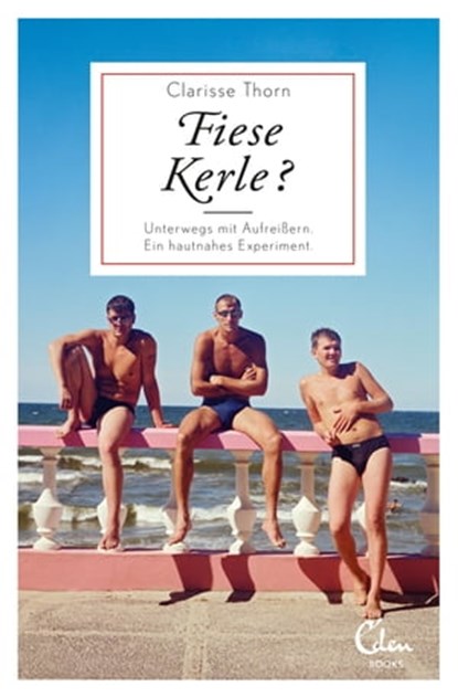 Fiese Kerle?, Clarisse Thorn - Ebook - 9783944296234