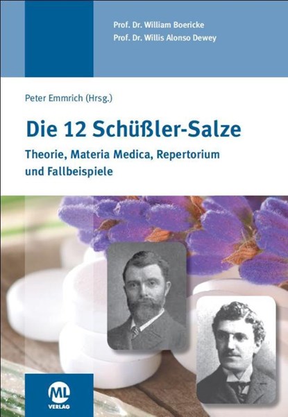 Die 12 Schüssler-Salze, William Boericke ; Willis Alonso Dewey - Gebonden - 9783945695234