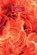 Senitmentality, PHILLIPS,  Thomas - Paperback - 9783945795743