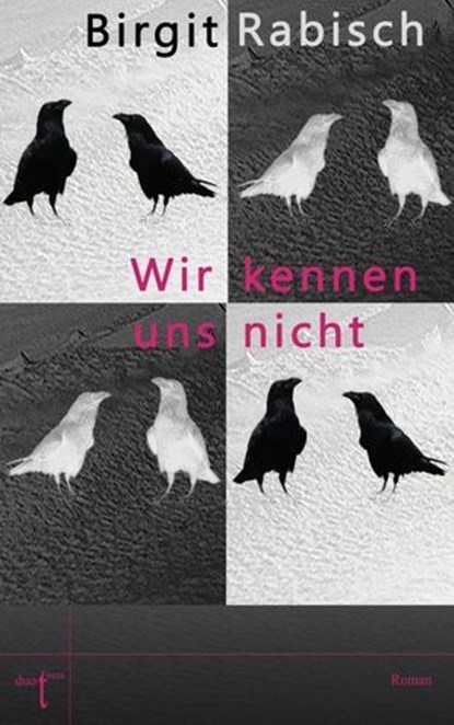 Wir kennen uns nicht, Birgit Rabisch - Ebook - 9783946086239