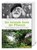 Die heilende Seele der Pflanzen, Stephen Harrod Buhner - Gebonden - 9783946245032