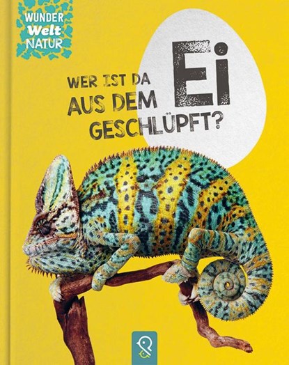 Wer ist da aus dem Ei geschlüpft?, Bobby Kastenhuber - Gebonden - 9783946360384