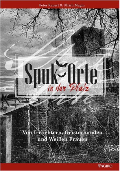 Spukorte in der Pfalz, Ulrich Magin - Gebonden - 9783946587415