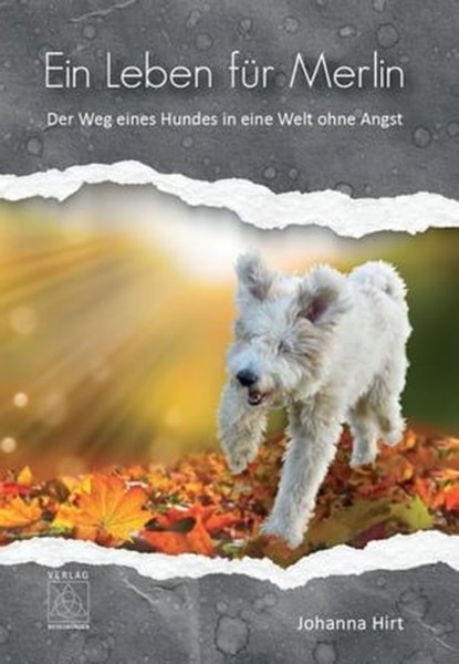 Ein Leben für Merlin, Johanna Hirt - Ebook - 9783946723486