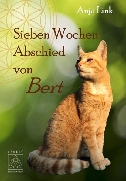 Sieben Wochen Abschied von Bert, Anja Link - Paperback - 9783946723837