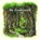Im Zauberwald, Rudolf Kring - Gebonden - 9783947874125