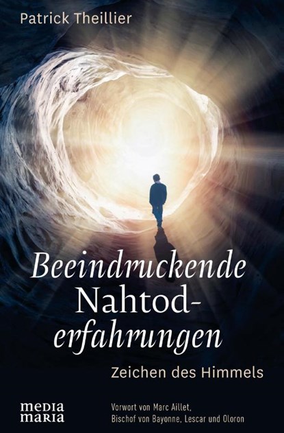 Beeindruckende Nahtoderfahrungen, Patrick Theillier - Gebonden - 9783947931019