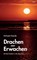Drachen-Erwachen, Michaela Haendly - Paperback - 9783948108779
