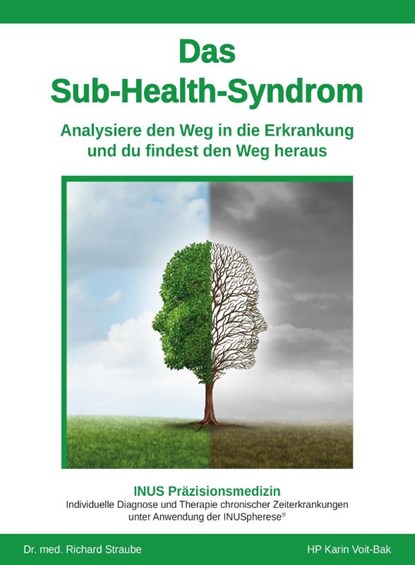 Das Sub-Health-Syndrom, Karin Voit-Bak ; Richard Straube - Paperback - 9783948309084
