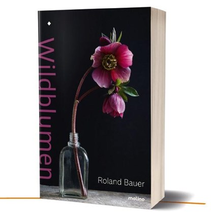 Wildblumen, niet bekend - Gebonden - 9783948696078