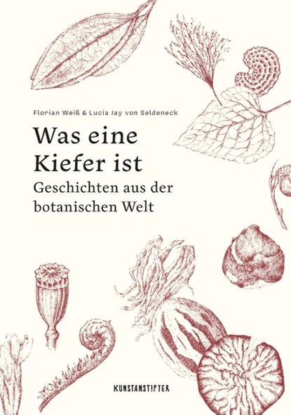 Was eine Kiefer ist, Lucia Jay von Seldeneck - Gebonden - 9783948743376