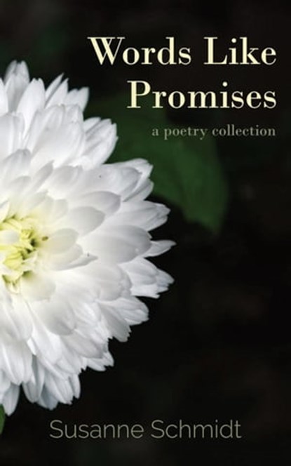 Words Like Promises, Susanne Schmidt - Ebook - 9783948786045