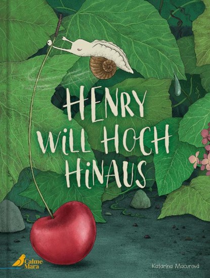 Henry will hoch hinaus, Katarína Macurová - Gebonden - 9783948877484