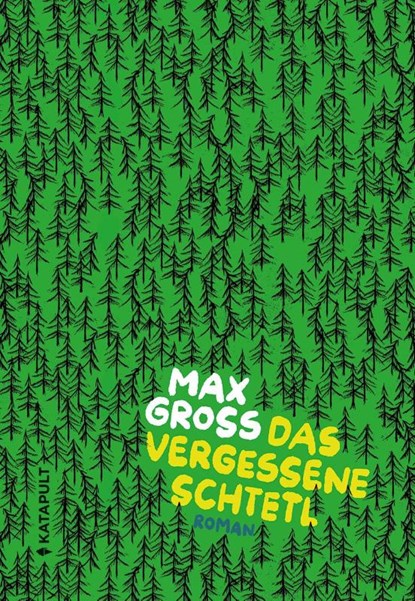 Das vergessene Schtetl, Max Gross - Gebonden - 9783948923884