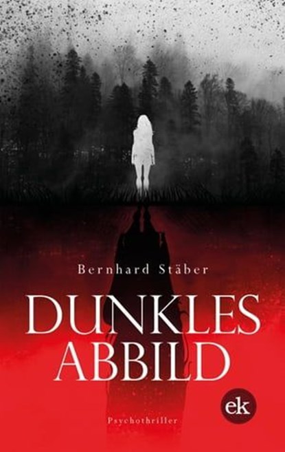 Dunkles Abbild, Bernhard Stäber - Ebook - 9783948972714