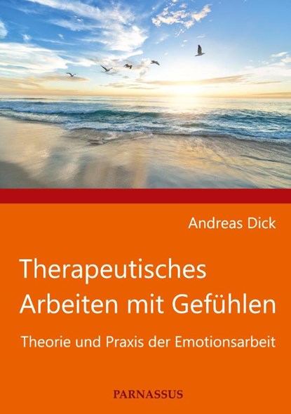 Therapeutisches Arbeiten mit Gefühlen, Andreas Dick - Gebonden - 9783952527535