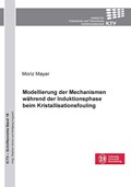 Modellierung der Mechanismen während der Induktionsphase beim Kristallisationsfouling (Band 18) | Moritz Mayer | 