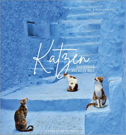 Katzen, Tuul Morandi ; Bruno Morandi - Gebonden - 9783954163182
