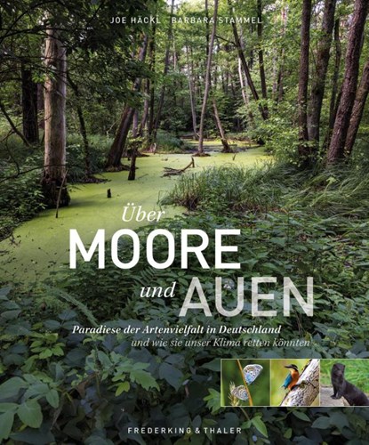 Über Moore und Auen, Barbara Stammel - Gebonden - 9783954164073