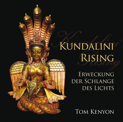 Kundalini Rising. Erweckung der Schlange des Lichts, Tom Kenyon - AVM - 9783954470211