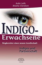 Indigo-Erwachsene. Indigos und Partnerschaft - Kabir Jaffe ; Ritama Davidson - 9783954470679
