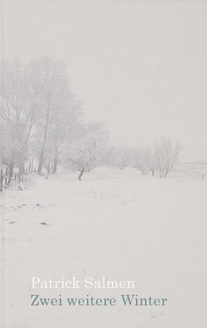 Zwei weitere Winter, Patrick Salmen - Gebonden - 9783954611027